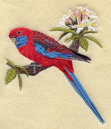 Crimson Rosella w/ Plumeria