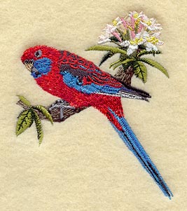 Crimson Rosella w/ Plumeria
