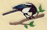 Black-Billed Magpie