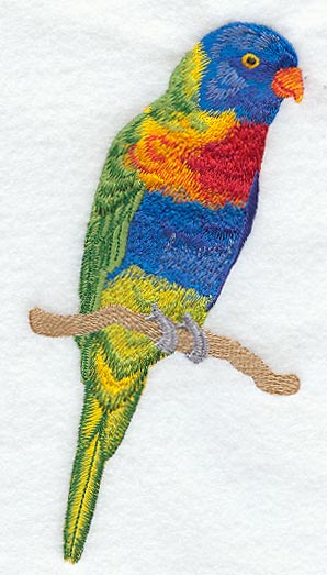 Rainbow Lorikeet