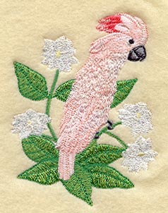 Moluccan Cockatoo w/ Jasmine Flowers