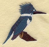 Belted Kingfisher