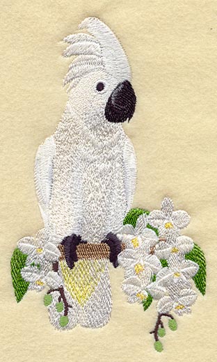 Umbrella Cockatoo & Orchids