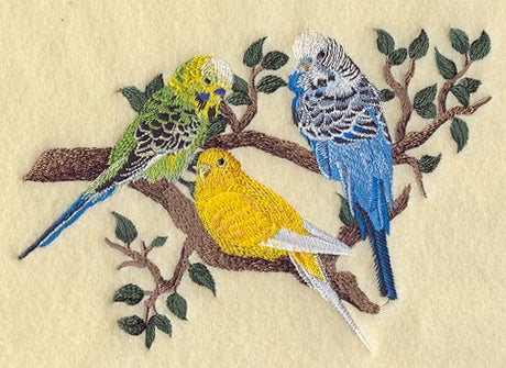 Three Budgies