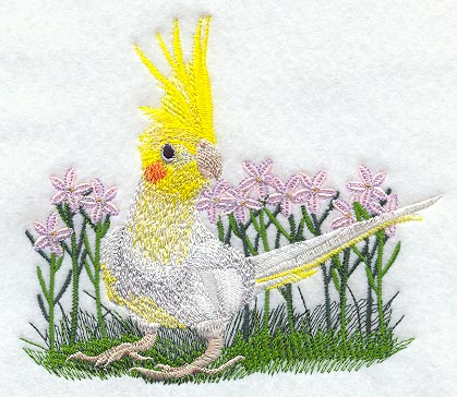 Pied Cockatiel and Flowers