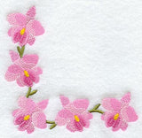 Cattleya Orchid Corner