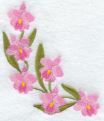 Cattleya Orchid Curve