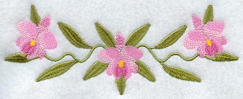 Cattleya Orchid Border