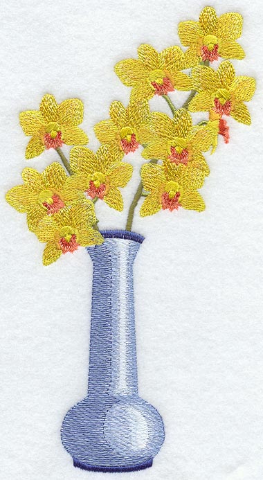 Jungle Beau Cattleya Orchid