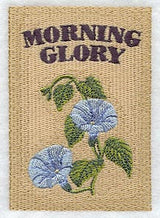 Morning Glory Seed Packet