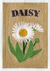 Daisy Seed Packet