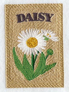 Daisy Seed Packet