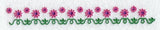 Daisy Border