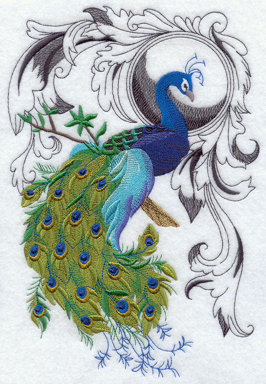 Peacock Flourish