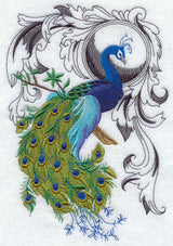Peacock Flourish