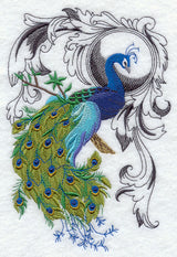 Peacock Flourish