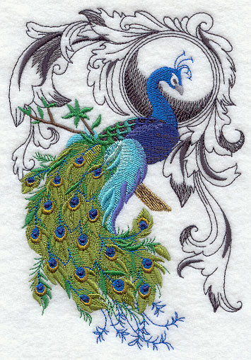 Peacock Flourish