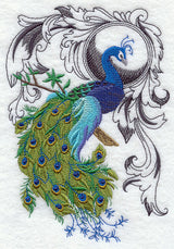 Peacock Flourish