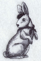 French Rabbit