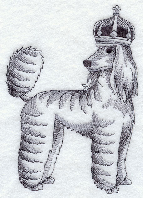 Poodle in Crown