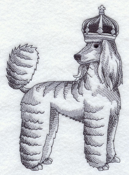 Poodle in Crown