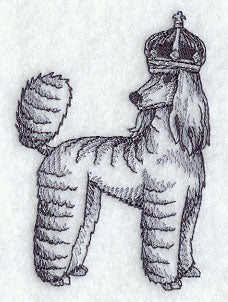 Poodle in Crown