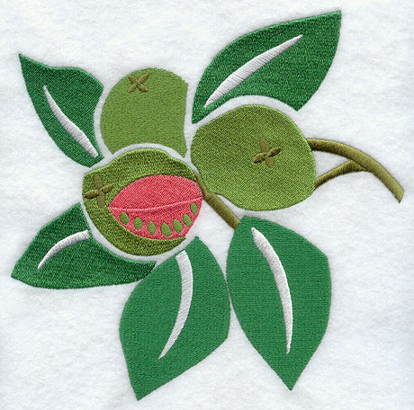 Guava Woodcut