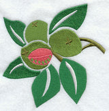 Guava Woodcut