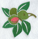 Guava Woodcut