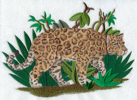 Prowling Jaguar