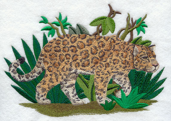 Prowling Jaguar