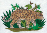 Prowling Jaguar