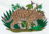 Prowling Jaguar