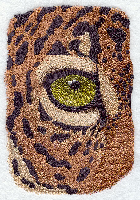 Eye of the Jaguar