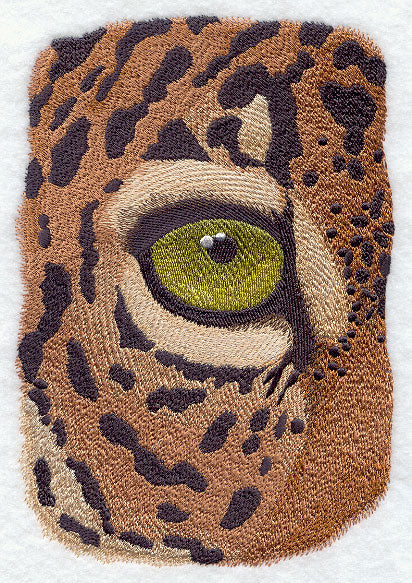Eye of the Jaguar