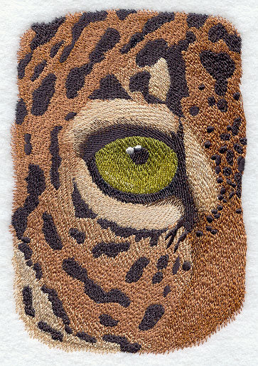 Eye of the Jaguar