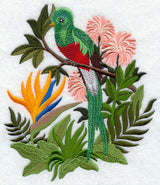 Quetzal and Bird of Paradise