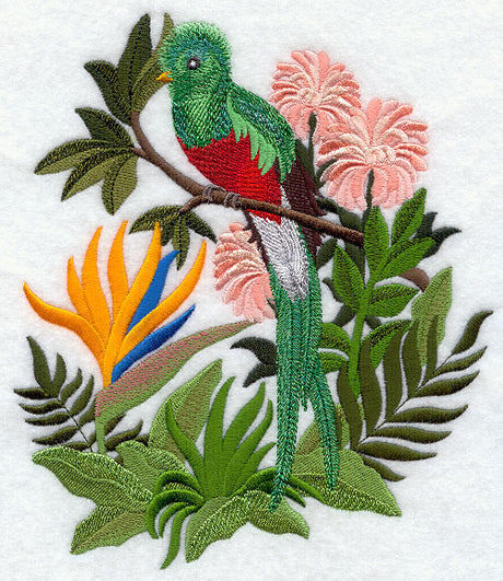 Quetzal and Bird of Paradise