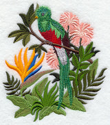 Quetzal and Bird of Paradise