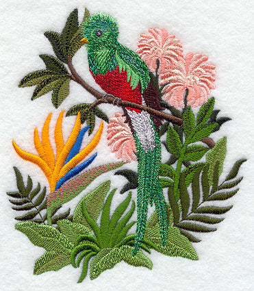 Quetzal and Bird of Paradise