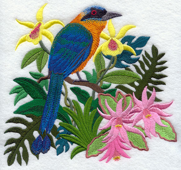 Easter Cactus and Blue-crowned Motmot