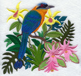 Easter Cactus and Blue-crowned Motmot