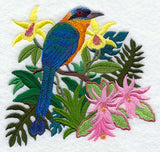 Easter Cactus and Blue-crowned Motmot