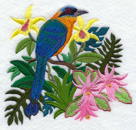 Easter Cactus and Blue-crowned Motmot