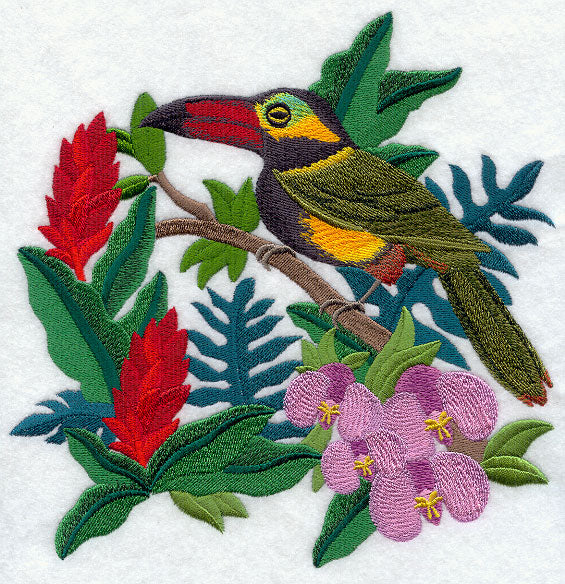 Toucan and Bromeliads