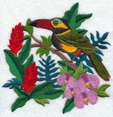 Toucan and Bromeliads