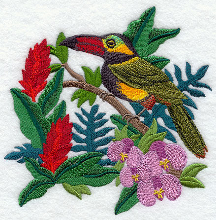 Toucan and Bromeliads
