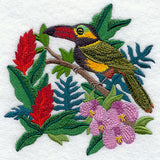 Toucan and Bromeliads