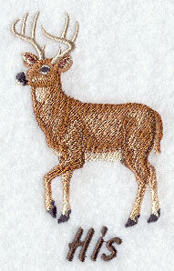 Deer - His