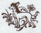 Graceful Chinese Crested